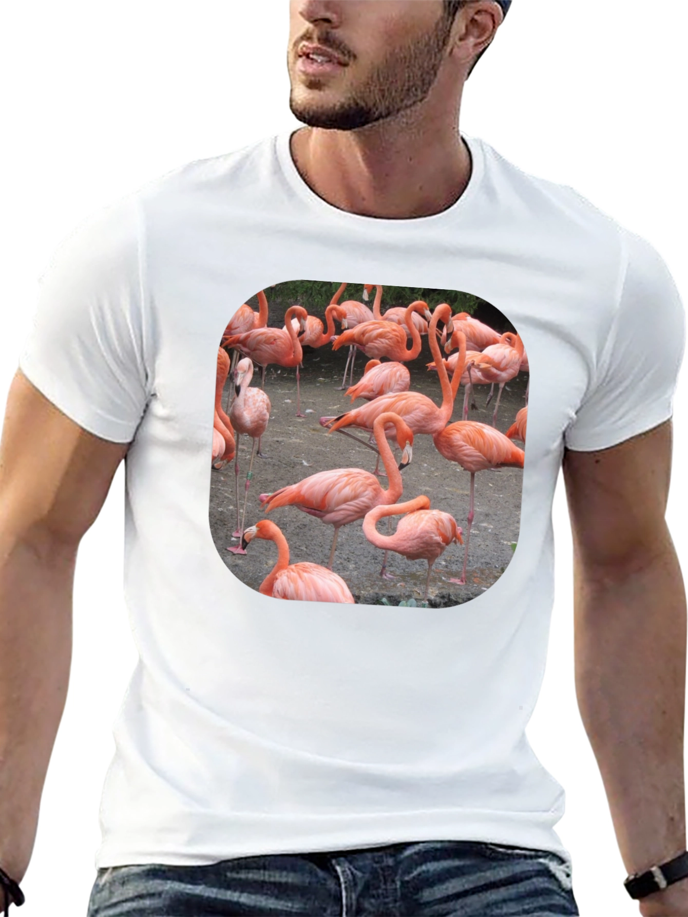 Flamingo Graphic Tee - Tropical Bird T-Shirt
