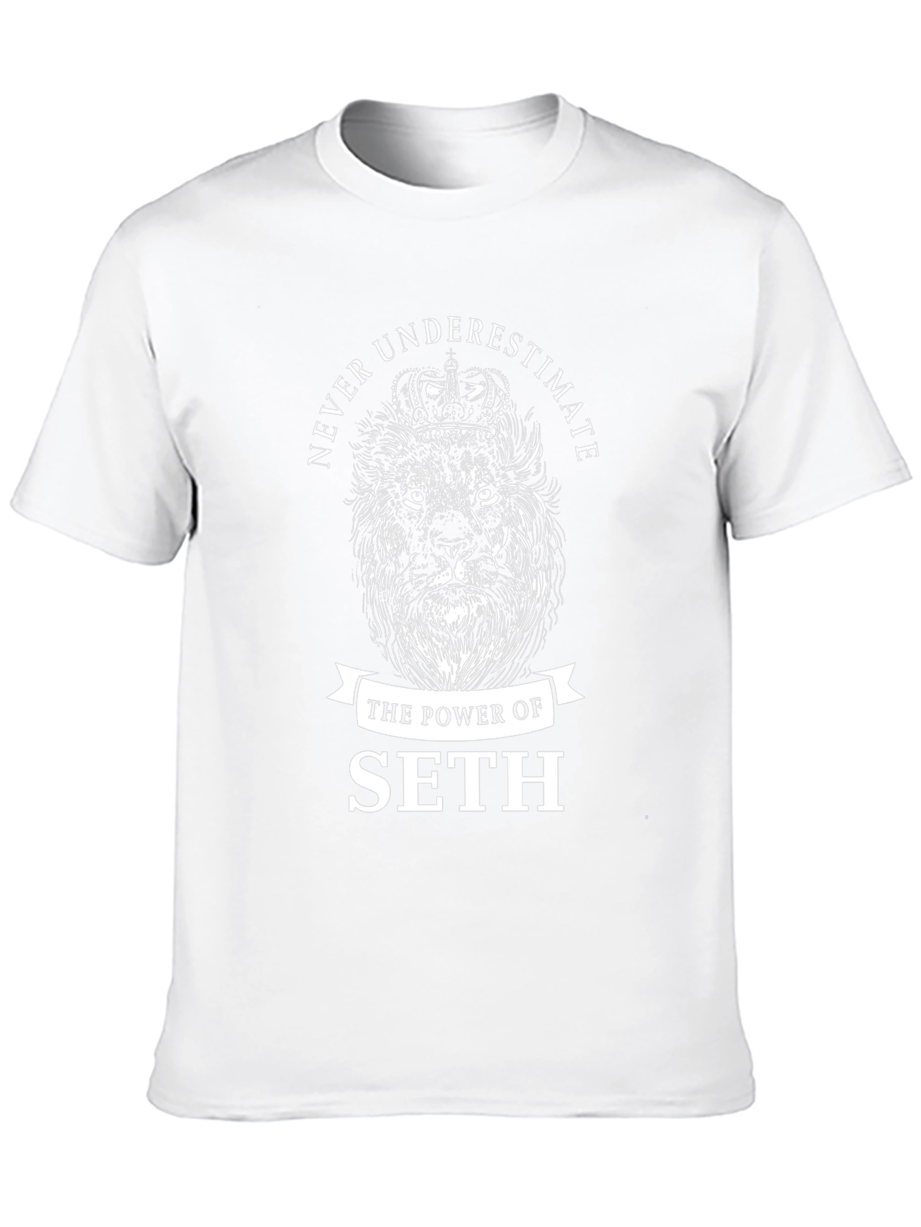 Never Underestimate The Power Of Seth Lion T-Shirt