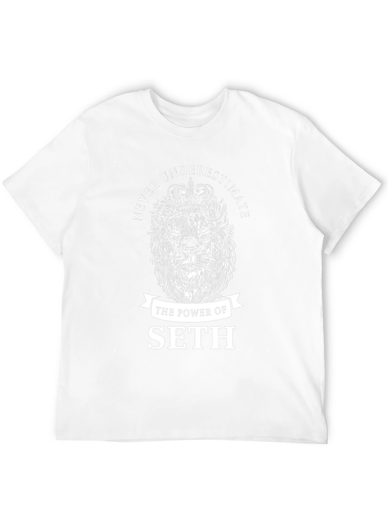Never Underestimate The Power Of Seth Lion T-Shirt