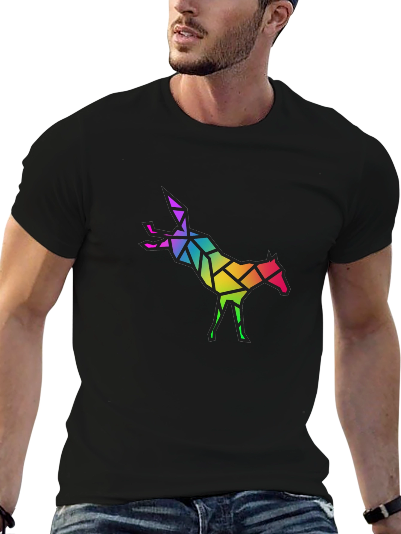 Geometric Rainbow Horse Graphic Tee
