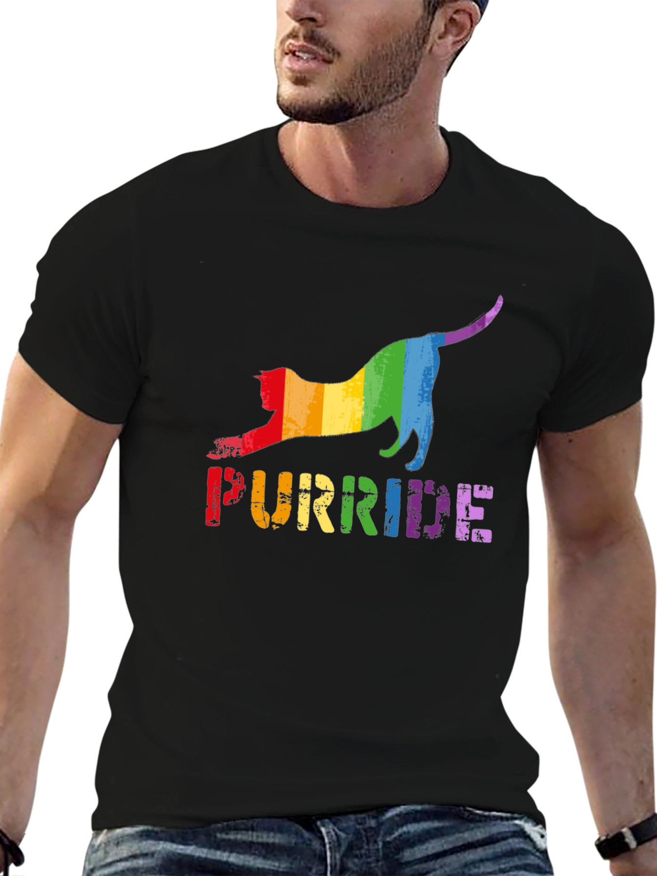 Purride T-Shirt - Rainbow Cat Pride