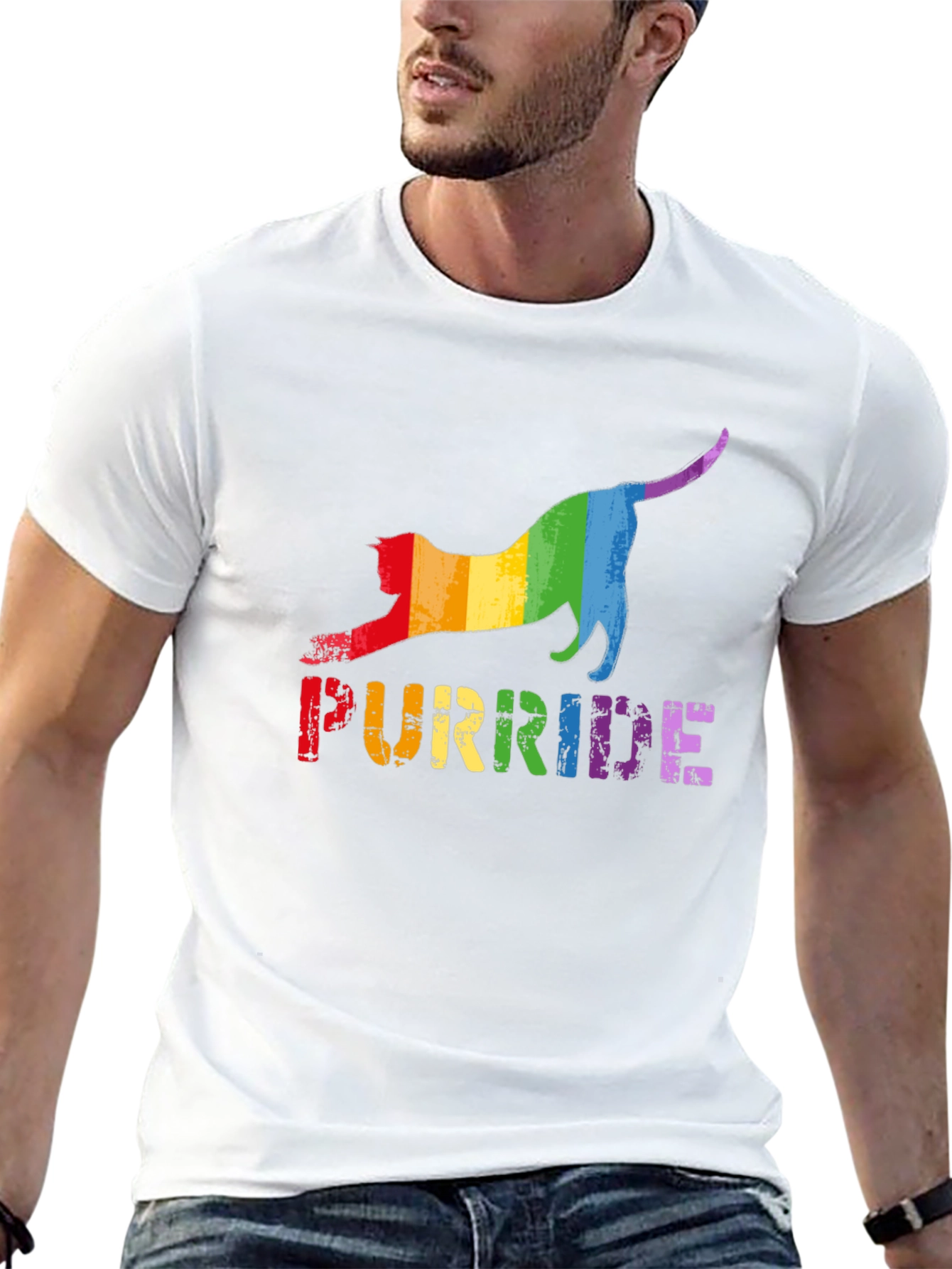 Purride T-Shirt - Rainbow Cat Pride