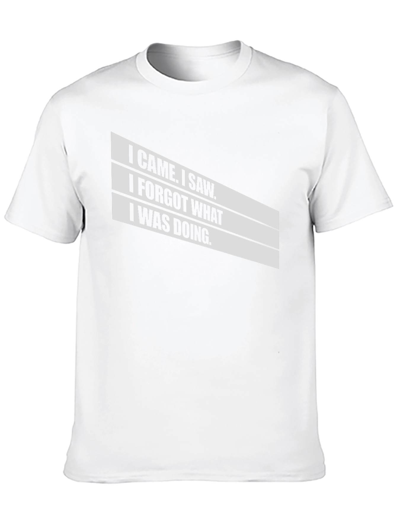 Humorous I Came I Saw Graphic T-Shirt