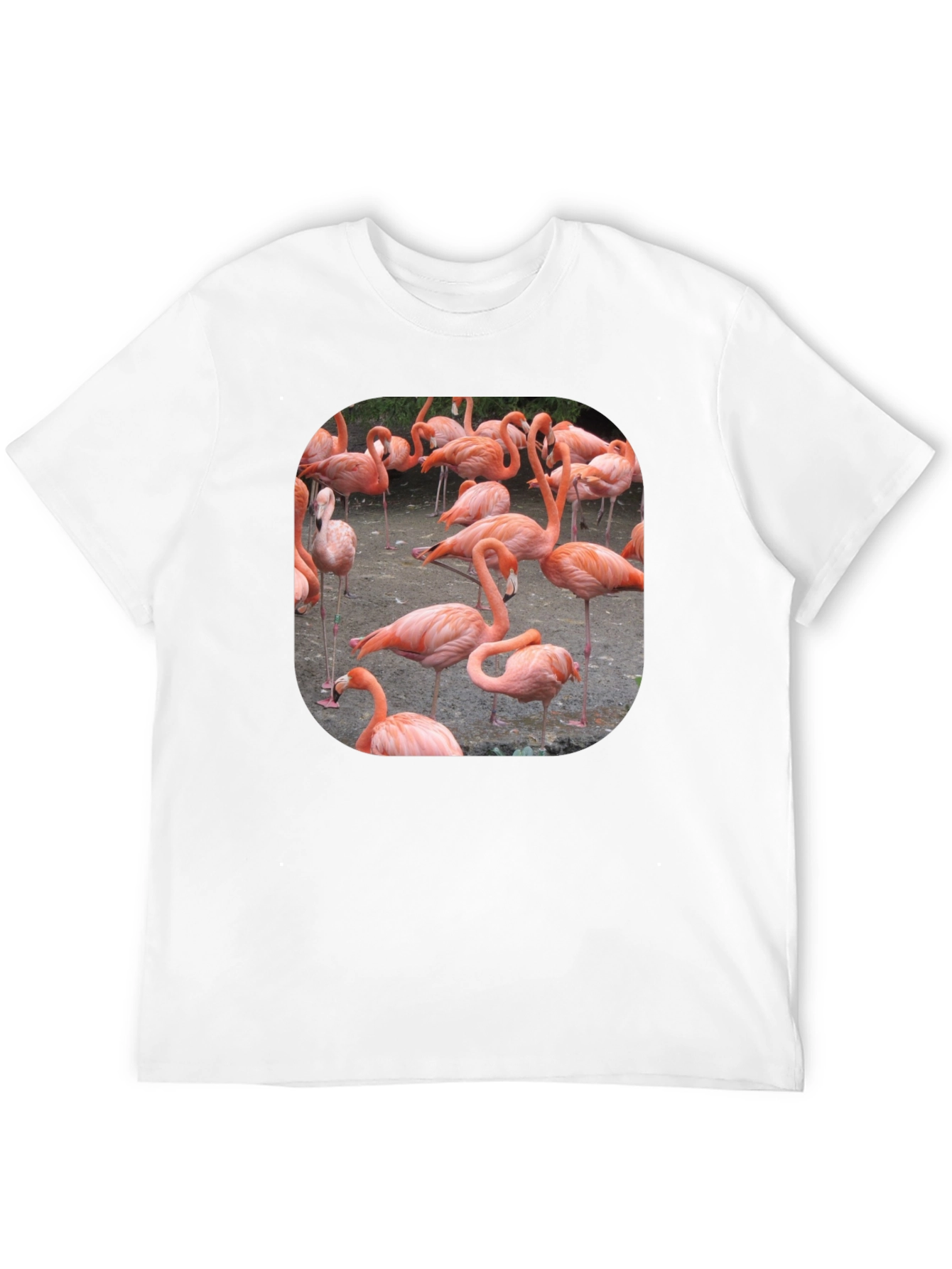 Flamingo Graphic Tee - Tropical Bird T-Shirt