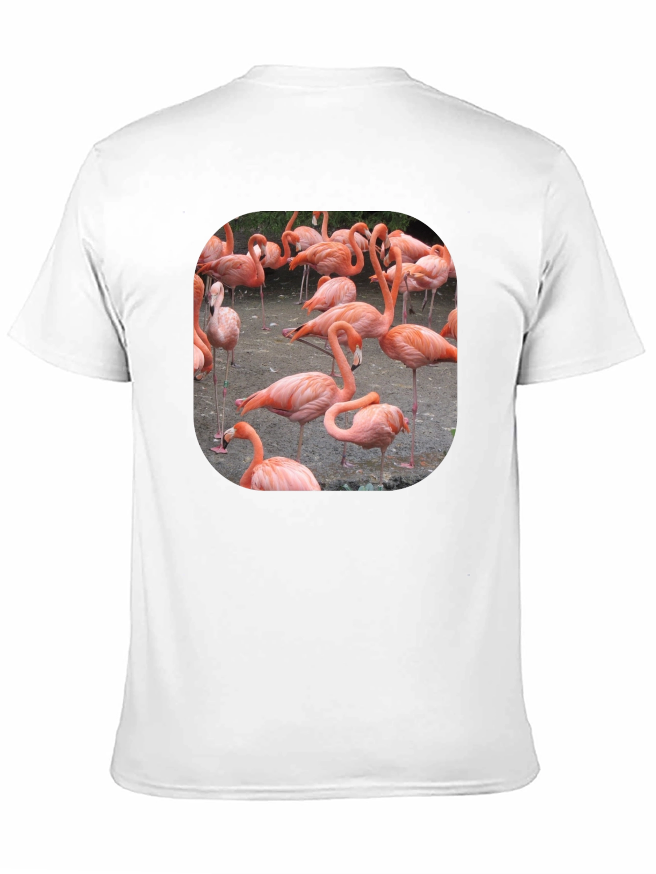 Flamingo Graphic Tee - Tropical Bird T-Shirt