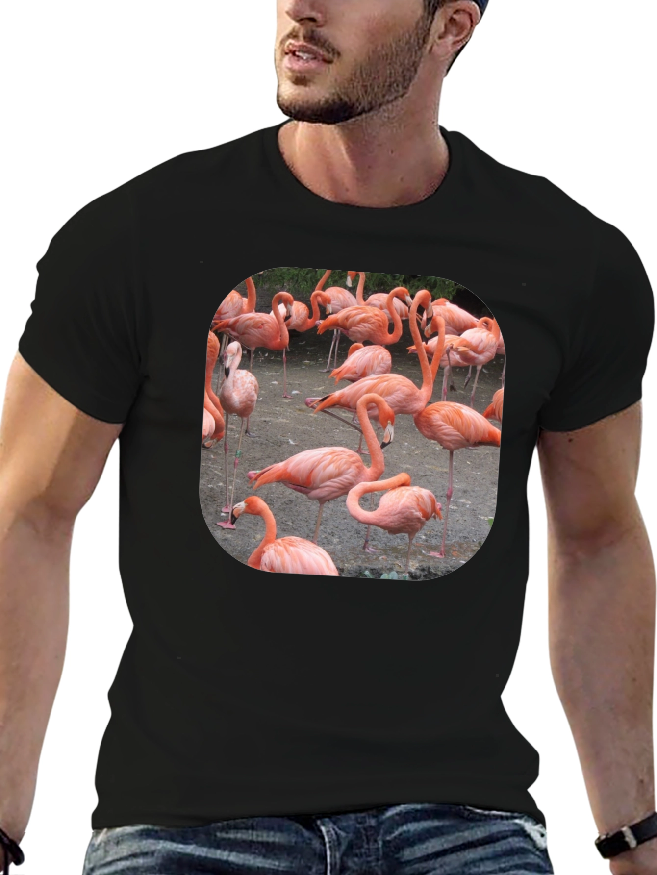 Flamingo Graphic Tee - Tropical Bird T-Shirt