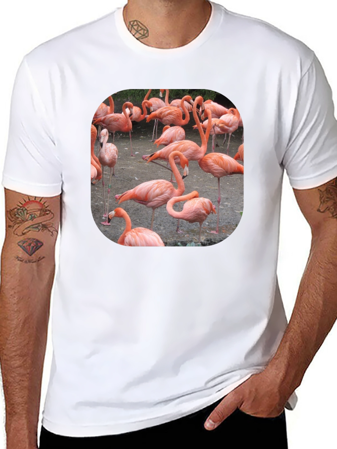 Flamingo Graphic Tee - Tropical Bird T-Shirt