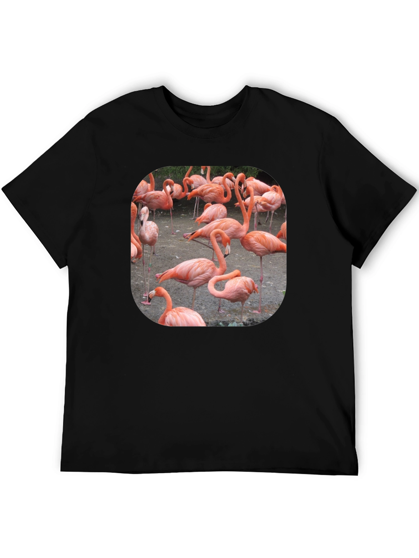 Flamingo Graphic Tee - Tropical Bird T-Shirt