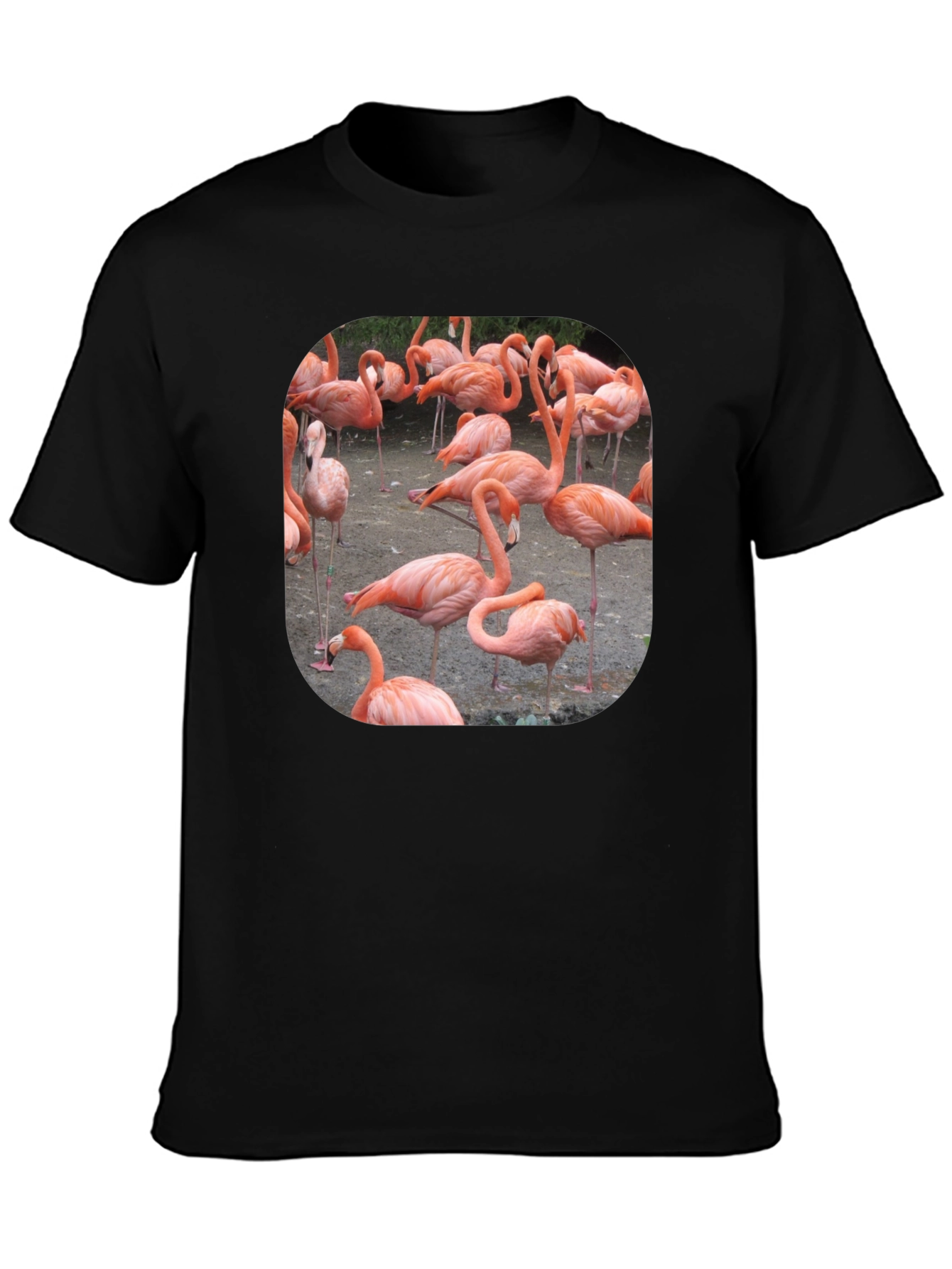 Flamingo Graphic Tee - Tropical Bird T-Shirt