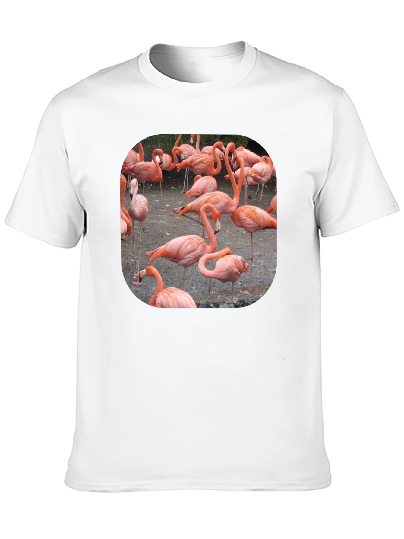 Flamingo Graphic Tee - Tropical Bird T-Shirt