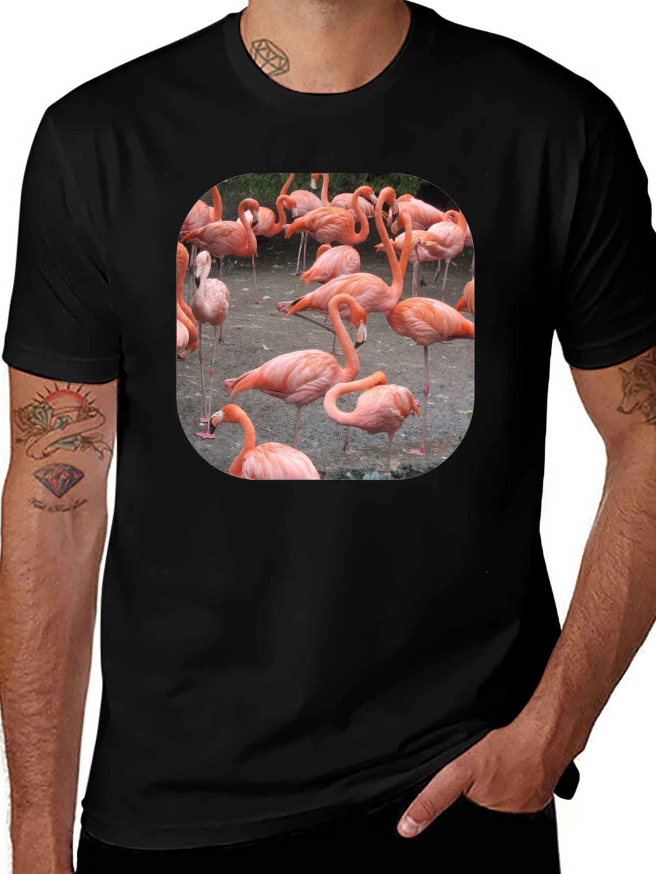 Flamingo Graphic Tee - Tropical Bird T-Shirt