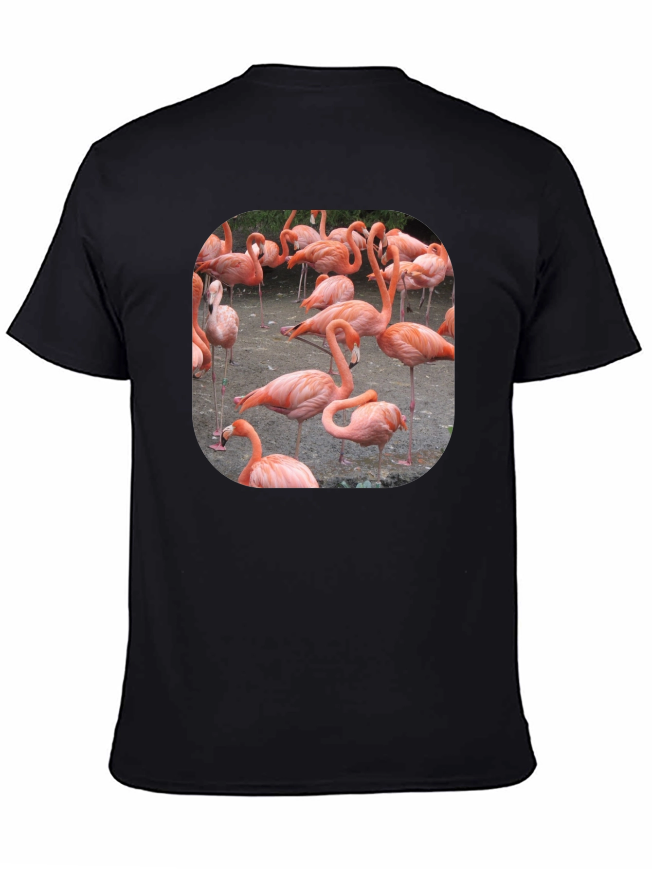 Flamingo Graphic Tee - Tropical Bird T-Shirt